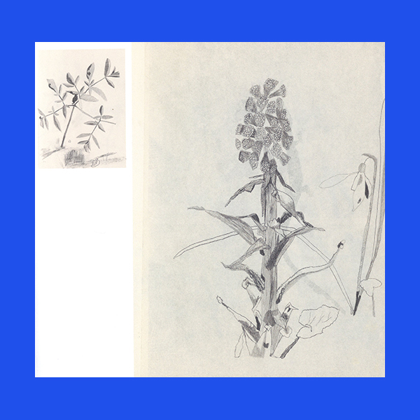 Jockum Nordström: Drawings 1992-2025 - Image 2