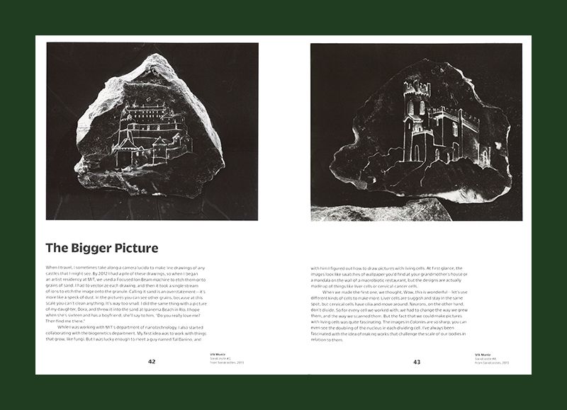 Vik Muniz: On Photography, Mind, and Matter - Afbeelding 3