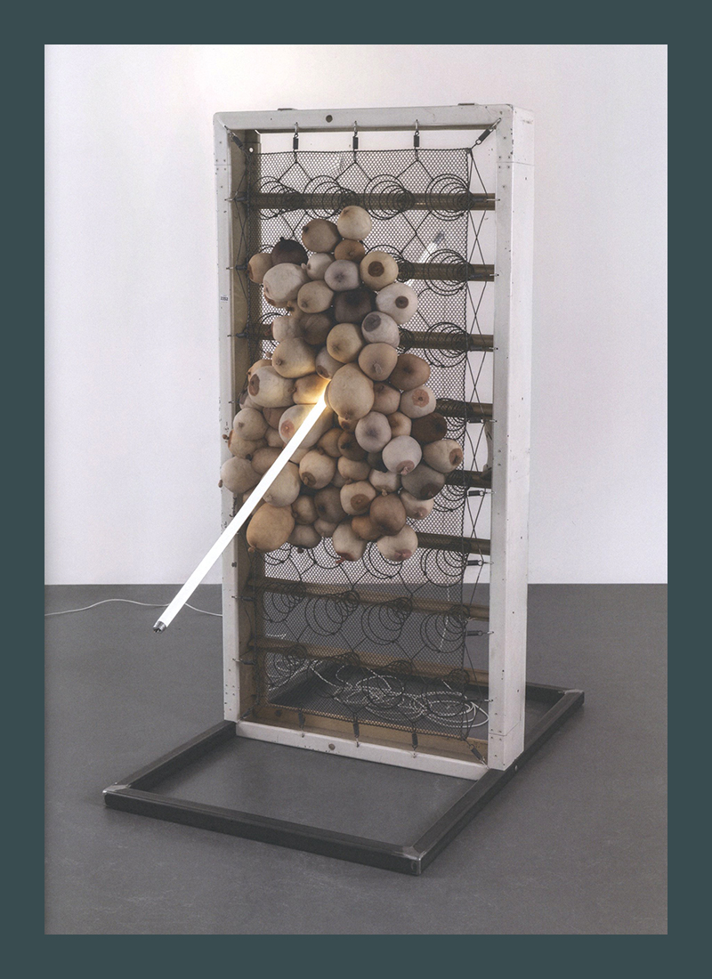 Sarah Lucas: Sense of Human (Kunsthalle Mannheim) - Afbeelding 2