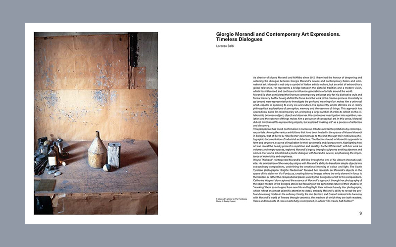The Morandi Museum: Catalague raisonné - Afbeelding 2