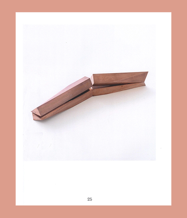 Lucy Skaer: The Truth and Untruth of Stones - Afbeelding 2