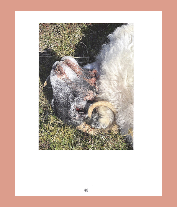 Lucy Skaer: The Truth and Untruth of Stones - Afbeelding 3