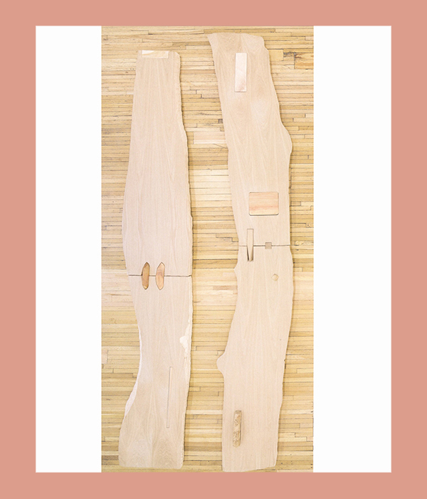 Lucy Skaer: The Truth and Untruth of Stones - Afbeelding 5