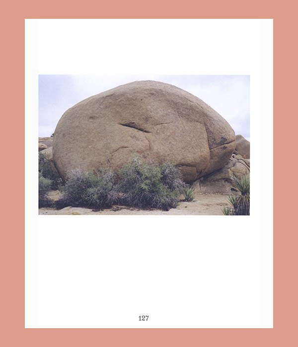 Lucy Skaer: The Truth and Untruth of Stones - Afbeelding 6