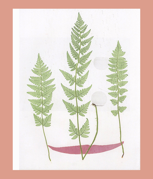 Lucy Skaer: The Truth and Untruth of Stones - Afbeelding 9