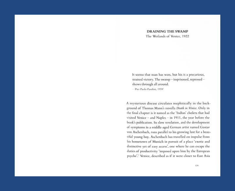 Terra Infecta: Disease and the Italian Landscape - Afbeelding 7