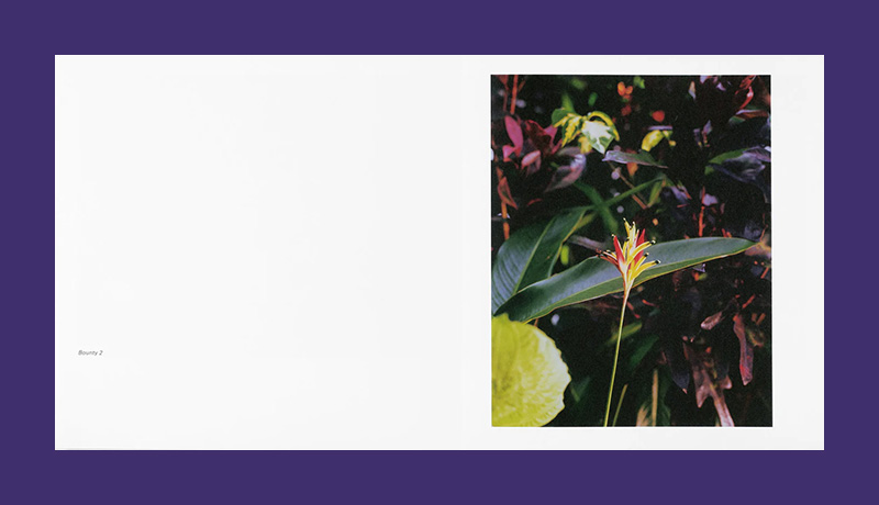 Steve McQueen: Bounty - Afbeelding 4