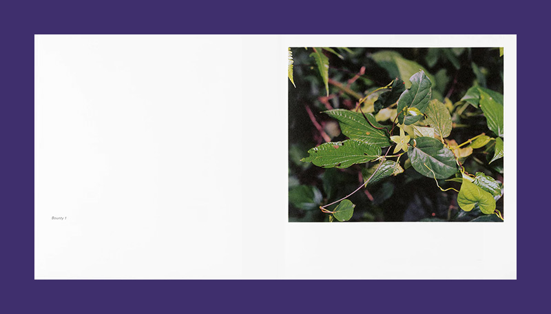 Steve McQueen: Bounty - Afbeelding 5