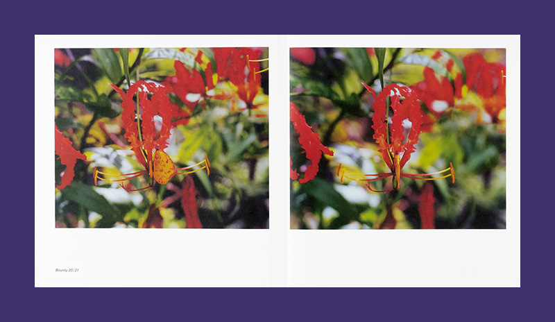 Steve McQueen: Bounty - Afbeelding 6