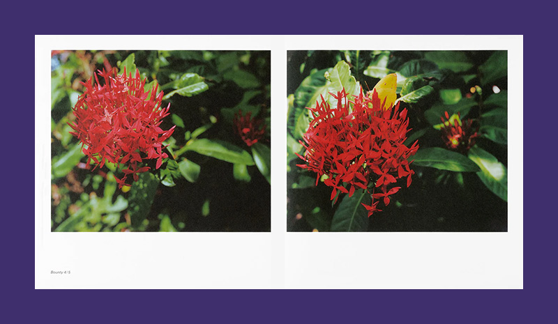 Steve McQueen: Bounty - Afbeelding 3