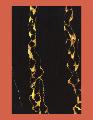 Jan Vercruysse: A la mémoire de ce qui n’a jamais existé (Palais des Beaux Arts, Brussels 1988)