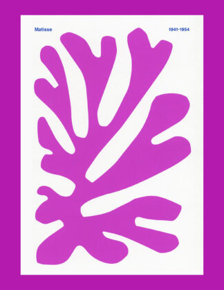 Colour Unbound: Henri Matisse 1941-1954 (Grand Palais)