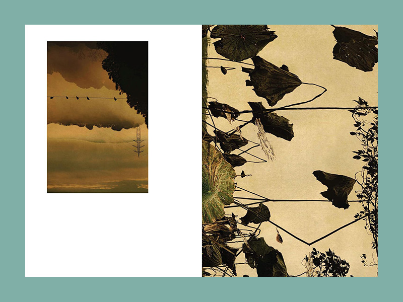 Albarrán Cabrera: Windows to the Unexpected - Afbeelding 3