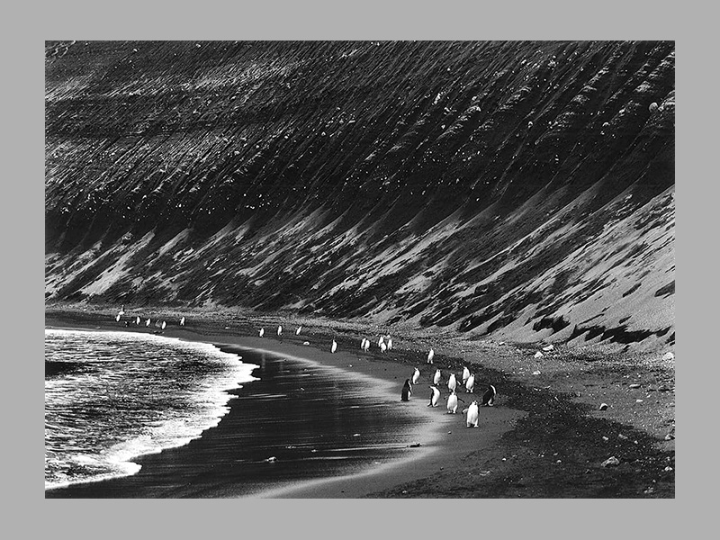 Sebastião Salgado: Glaciers - Afbeelding 5