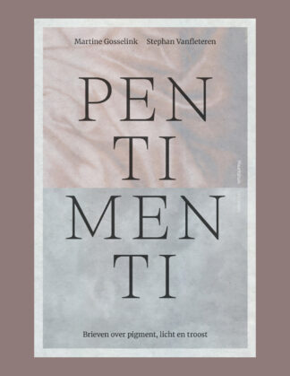 Martin Gosselink & Stephan Vanfleteren: Pentimenti, Brieven over pigment, licht en troost