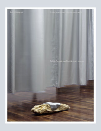 Edith Dekyndt: Tell Us Something That Nobody Knows / Erzähl uns etwas, das niemand weiß