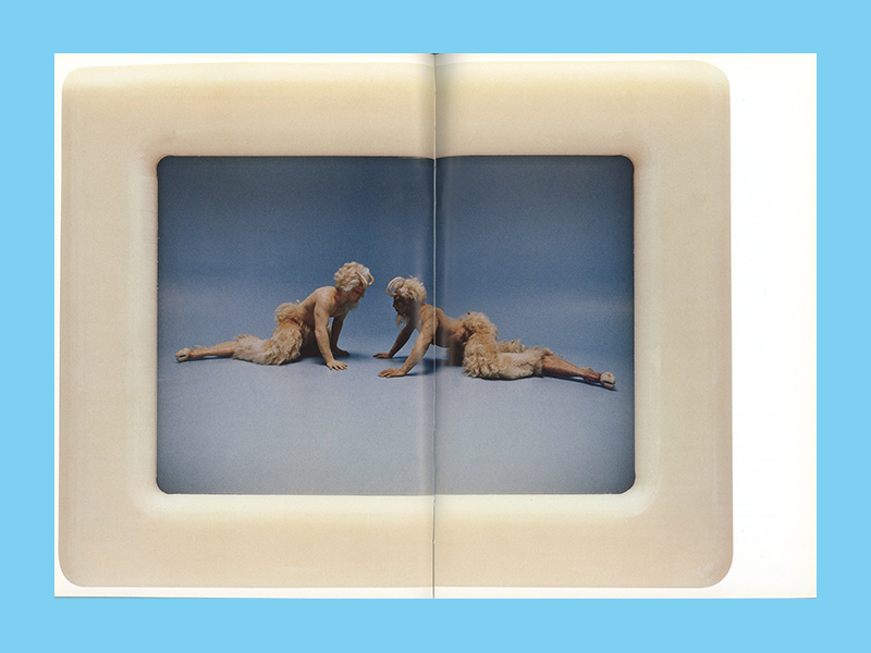 Matthew Barney: Sammlung Goetz (2007) - Afbeelding 2