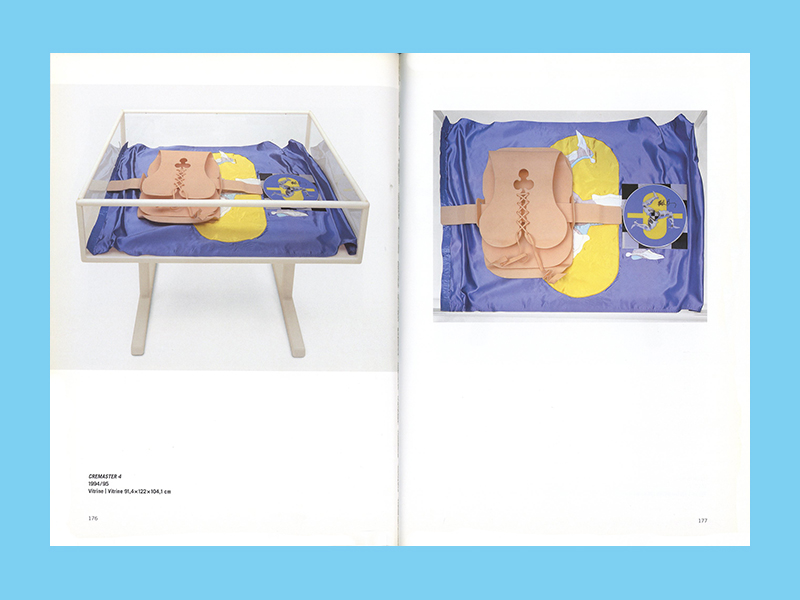 Matthew Barney: Sammlung Goetz (2007) - Afbeelding 6