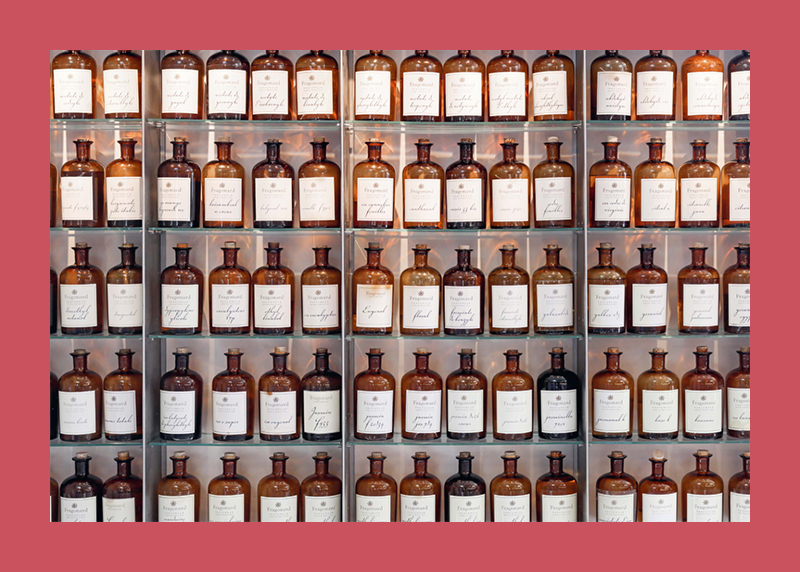 Fragonard: The Perfume of Provence - Image 5