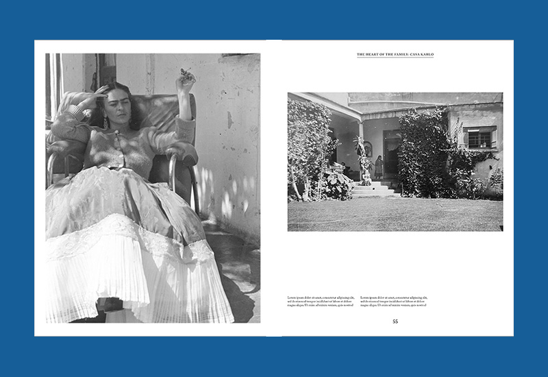 Casa Kahlo: Frida Kahlo's Private Home and Sanctuary - Image 2