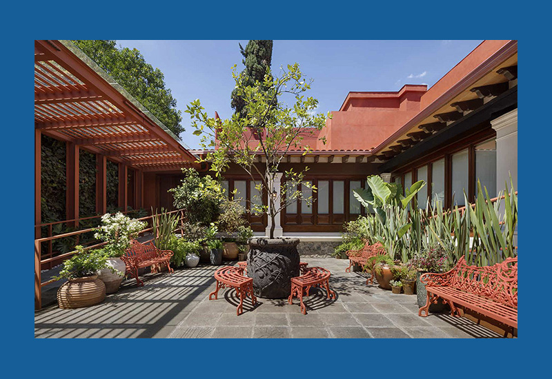 Casa Kahlo: Frida Kahlo's Private Home and Sanctuary - Image 3