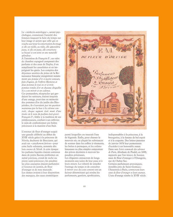 Or, Oranges, Orangeries - Image 5