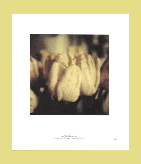 The Essential Cy Twombly (2014) - Afbeelding 8