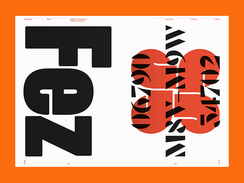 ECAL: A Typographic Atlas - Afbeelding 4