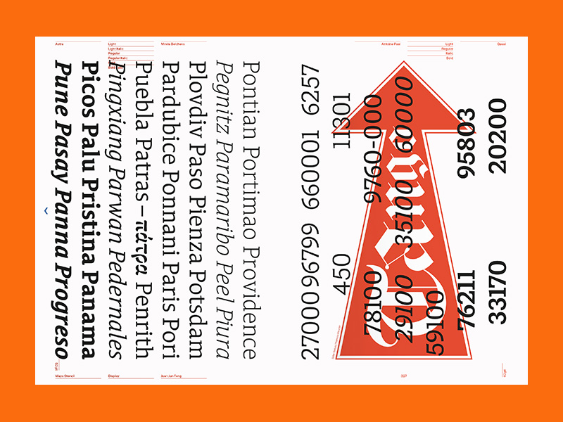 ECAL: A Typographic Atlas - Afbeelding 6