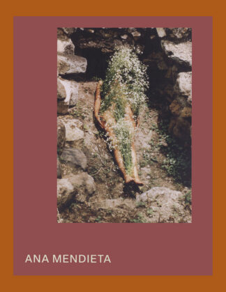 Ana Mendieta (Tate Modern)