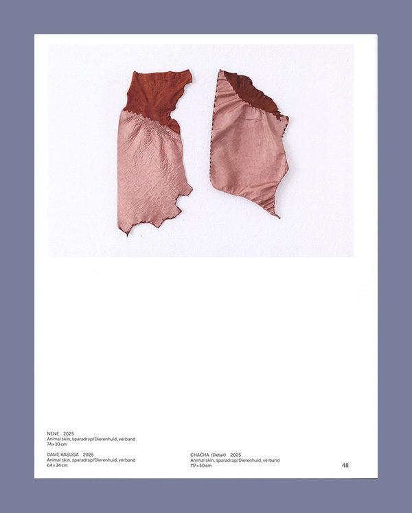 Edith Dekyndt: It could be James on the beach. It could be. It could be very fresh and clear. - Afbeelding 3