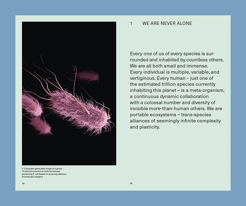 We The Bacteria: Notes Toward Biotic Architecture - Afbeelding 2