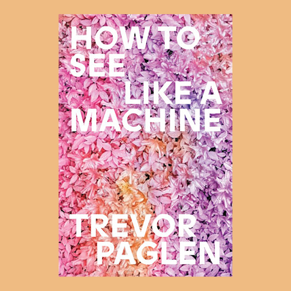 How to See Like a Machine