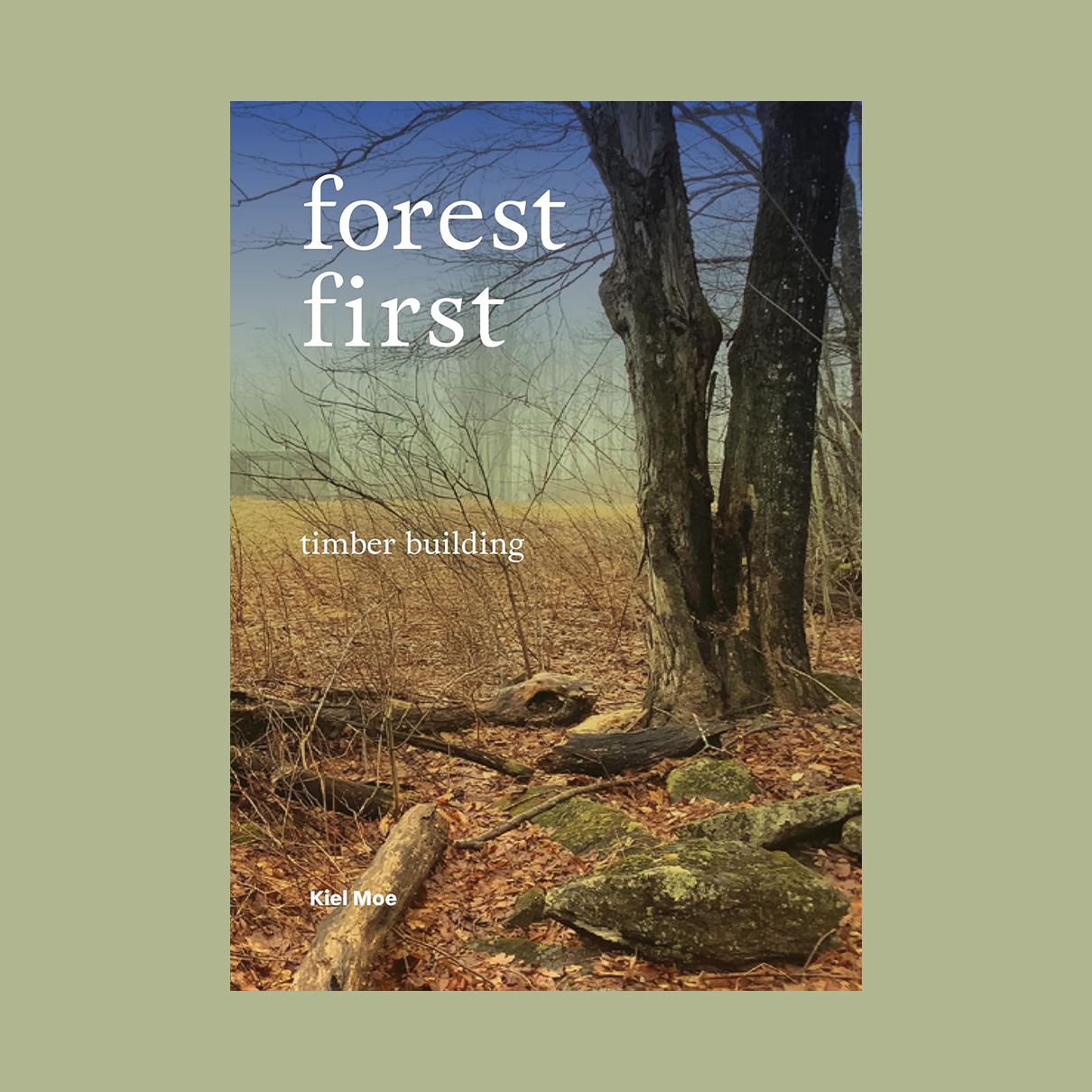 Forest First: Timber Building