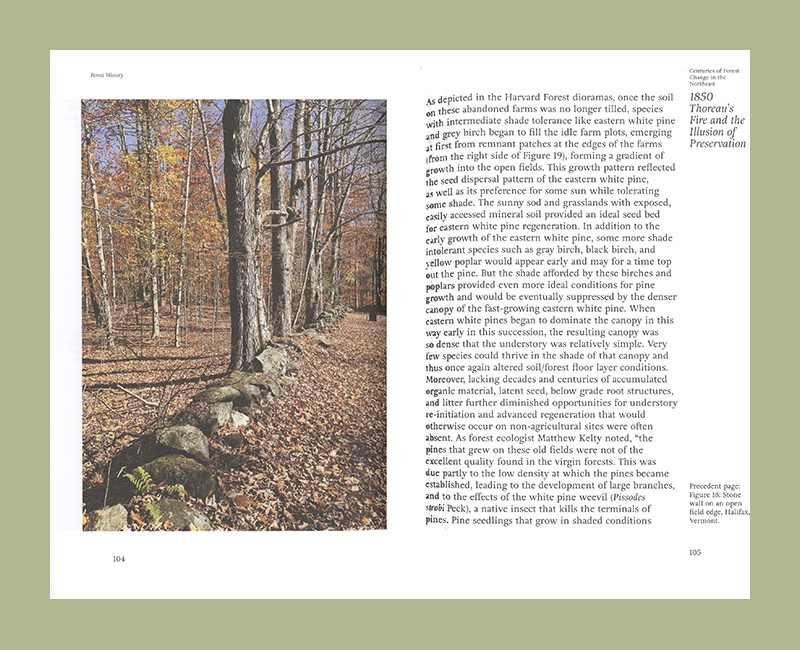 Forest First: Timber Building - Afbeelding 4