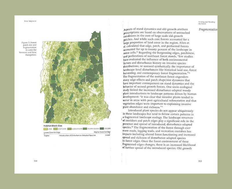 Forest First: Timber Building - Afbeelding 5
