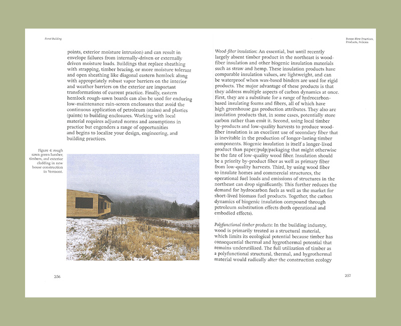 Forest First: Timber Building - Afbeelding 6