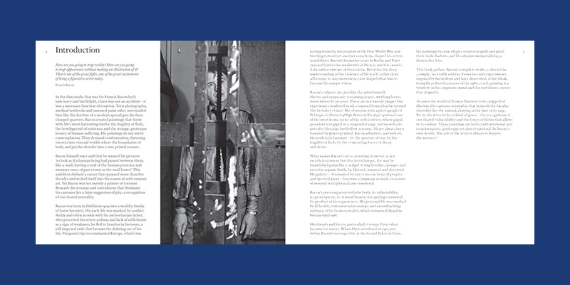 Francis Bacon Paintings: The Complete Collection - Afbeelding 3