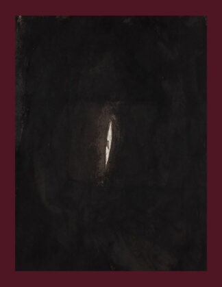 Anish Kapoor