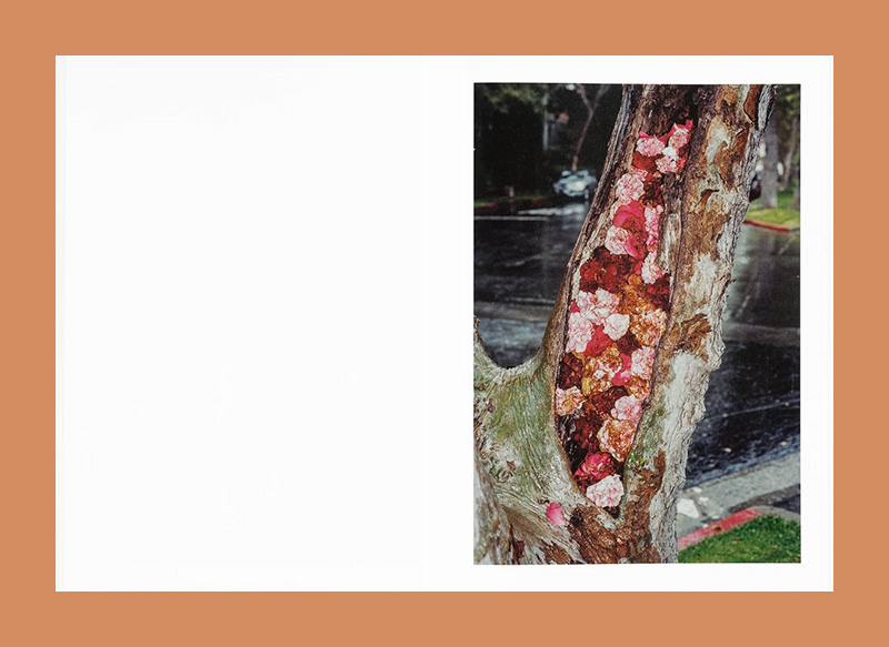 Jerry Hsu: How About Never (Signed Edition) - Afbeelding 5