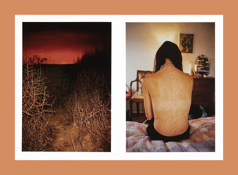 Jerry Hsu: How About Never (Signed Edition) - Afbeelding 6
