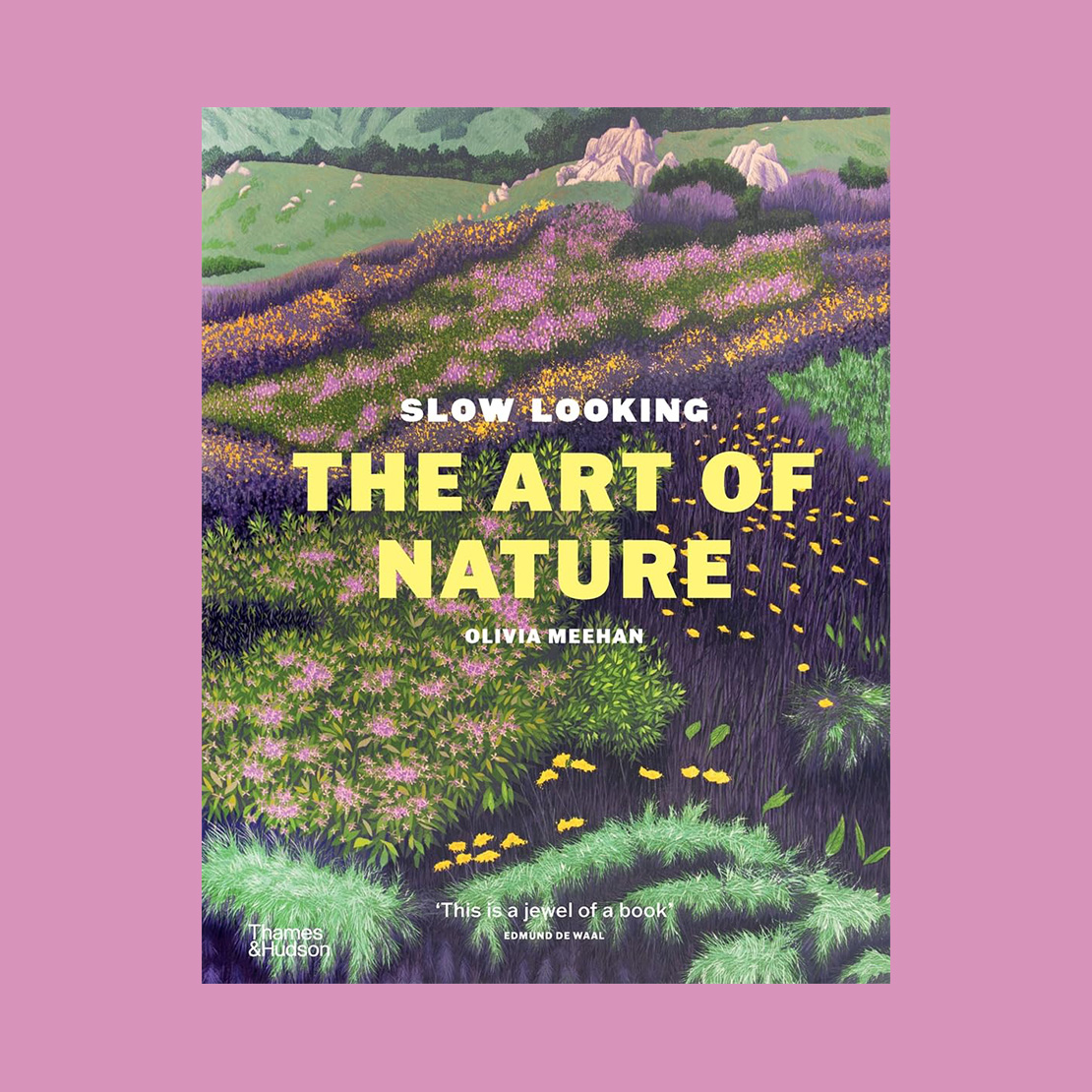 Slow Looking: The Art of Nature