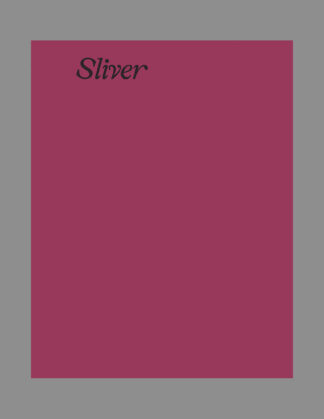 Boris Snauwaert: Sliver
