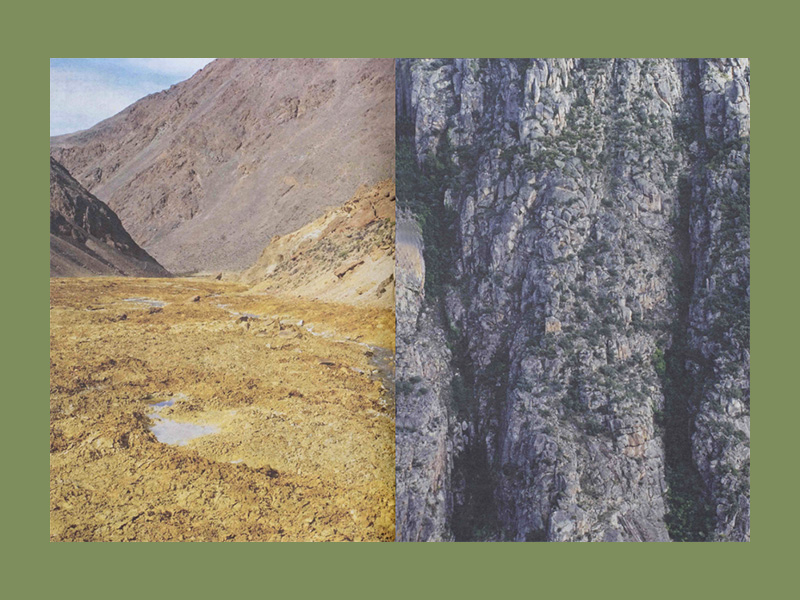 Irene Kopelman: Field to Form - Afbeelding 2