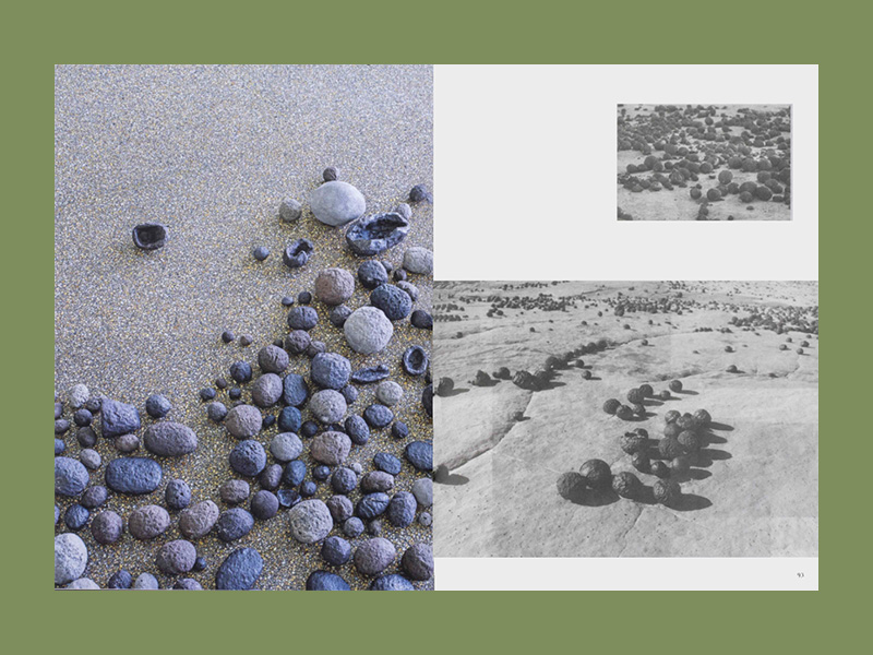 Irene Kopelman: Field to Form - Afbeelding 3