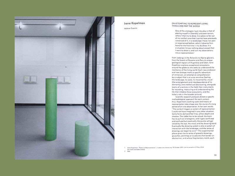 Irene Kopelman: Field to Form - Afbeelding 4