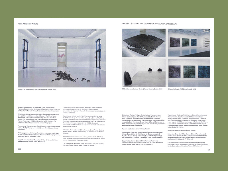 Irene Kopelman: Field to Form - Afbeelding 6