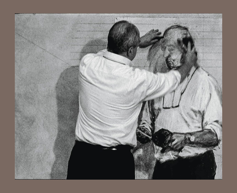 William Kentridge: Milestones Collection - Afbeelding 8