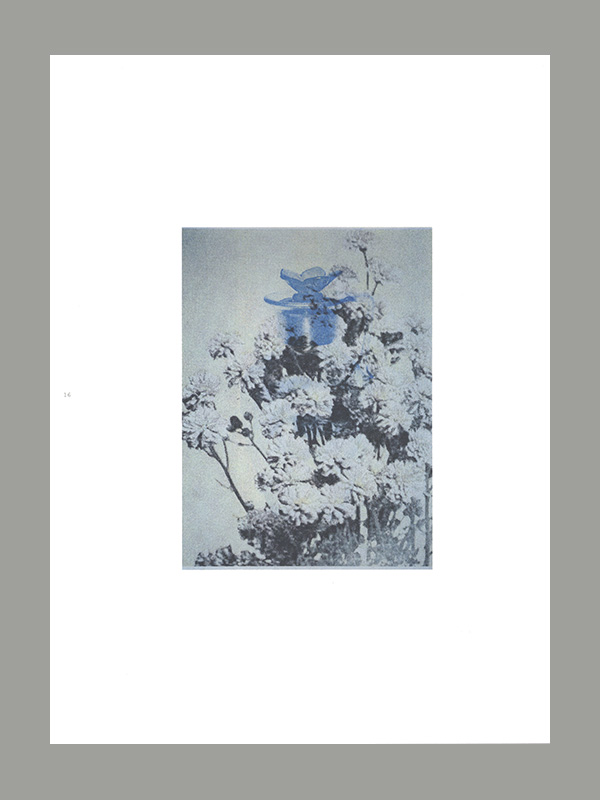 Julie Wolfe: In Medias Res (Edition of 300 copies) - Afbeelding 2