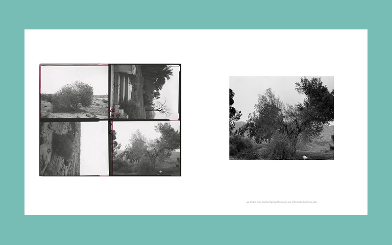 Robert Adams: Contact - Afbeelding 3